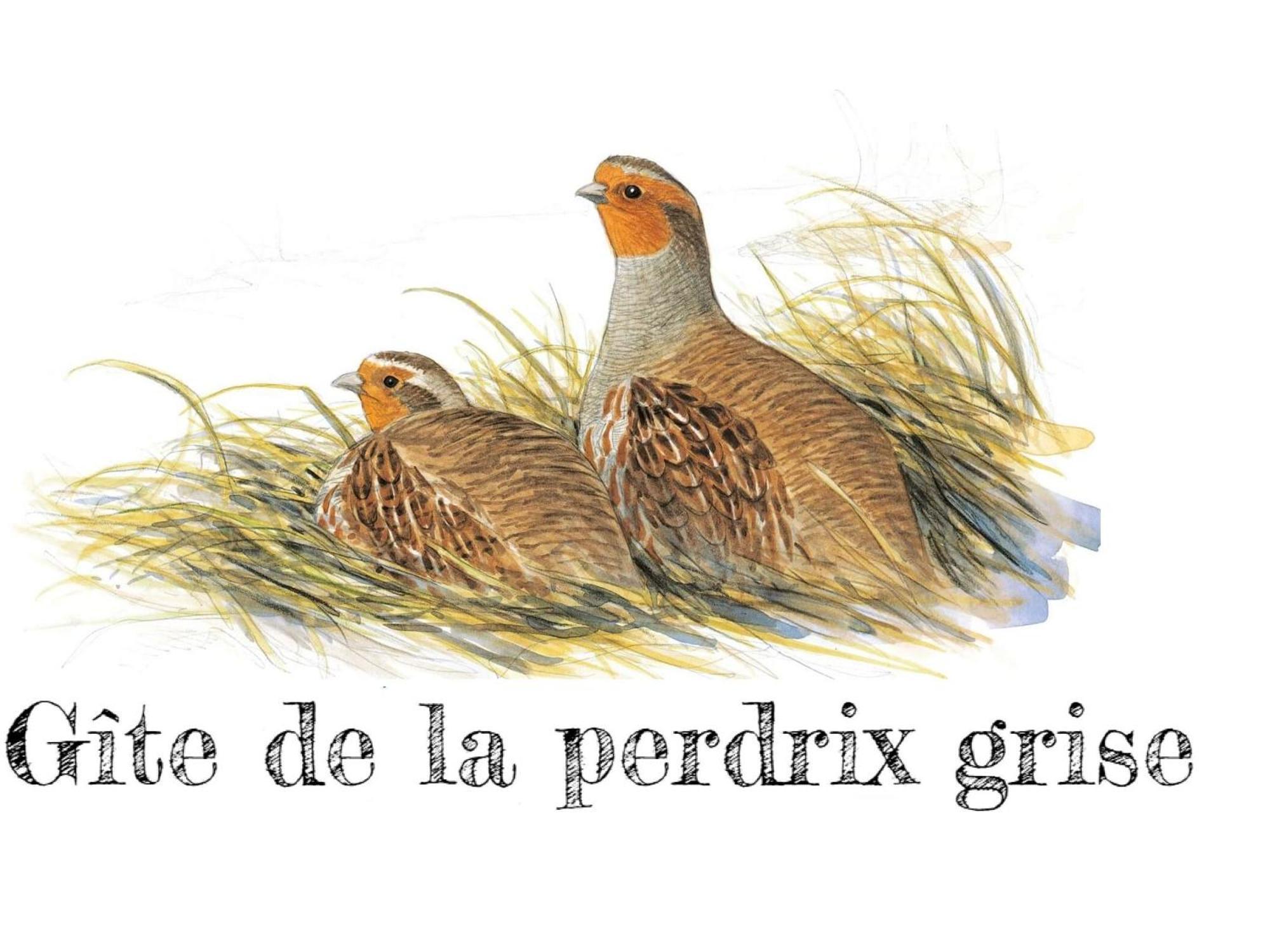 Charmante Maison De Campagne Avec Jardin Prive, Pres De Paris Et Orleans, Ideale Pour Familles - Fr-1-590-136 Audeville Ngoại thất bức ảnh